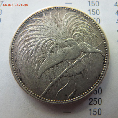 Германская Новая Гвинея 1 марка 1894 года, серебро - IMG_8132.JPG