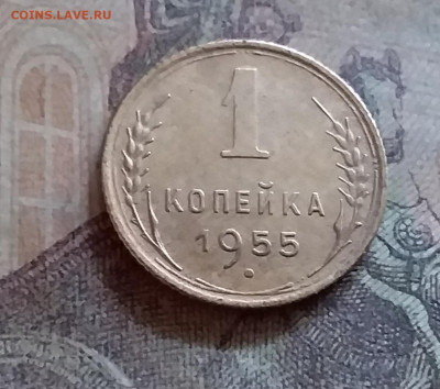 1 копейка 1955. До 25.6.22 в 22.00 - 20220619_163303