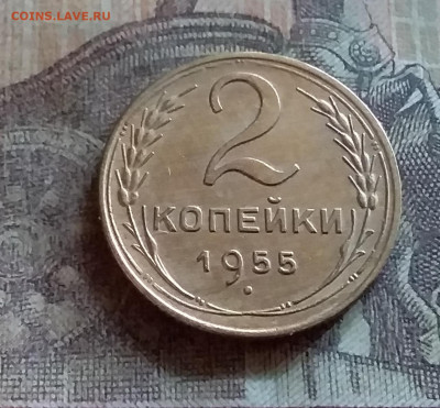 2 копейки 1955. До 25.6.22 в 22.00 - 20220619_172016
