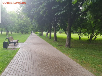 делает - прямо сейчас !!! - Screenshot_20220619-213132_Gallery