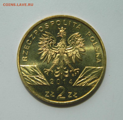 Польша 2 злотых 2014 г. (Юбилейная) Лошадь до 25.06.22 - DSCN0399.JPG