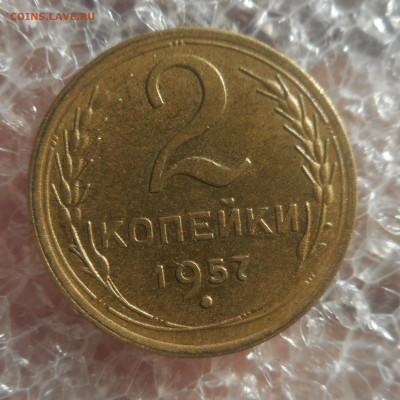 разновидность - DSCN6159 (2).JPG