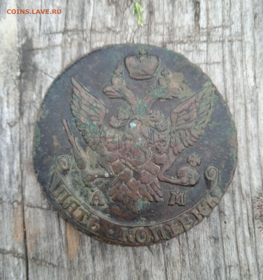 Рубль 1724 года. - IMG_20220618_180057