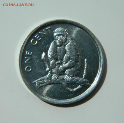 Острова Кука 1 цент 2003 г. (Обезьяна) до 28.06.22 - DSCN0041.JPG