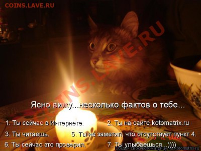 юмор - )))))