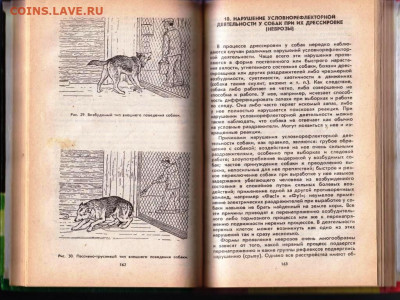 CЛУЖЕБНОЕ СОБАКОВОДСТВО 1992 г. до 29.06.22 г. в 23.00 - 046