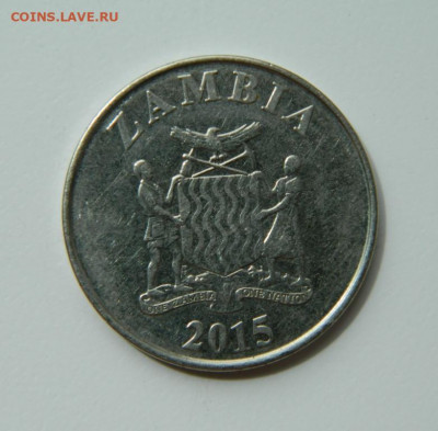 Замбия 1 квача 2015 г. (Фауна) до 28.06.22 - DSCN0144.JPG