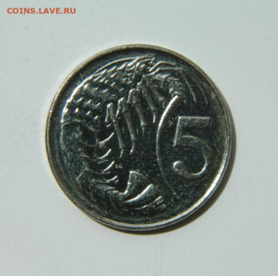 Каймановы острова 5 центов 2008 г. (Фауна) до 28.06.22 - DSCN0097.JPG