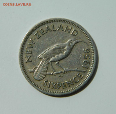 Новая Зеландия 6 пенсов 1956 г. (Фауна) до 28.06.22 - DSCN0099.JPG