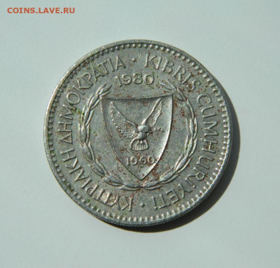 Кипр 100 милс 1980 г. (Фауна). до 28.06.22 - DSCN9991.JPG