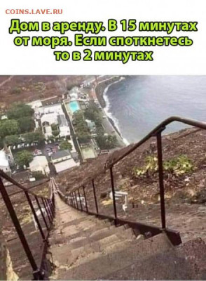 юмор - 16899840