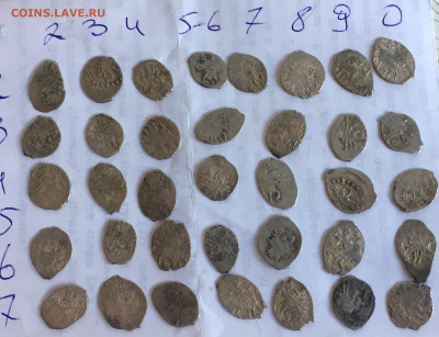 Чешуя кладовая на оценку и определение - 7DF0D960-C293-4B4E-86F1-946F6BBD7863