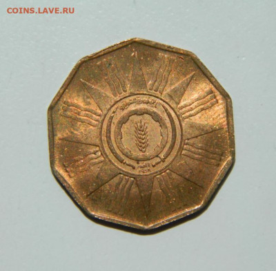 Ирак 1 филс 1959 г. до 29.06.22 - DSCN0523.JPG