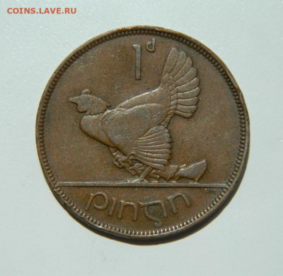 Ирландия 1 пенни 1935 г. (Фауна) до 29.06.22 - DSCN0501.JPG