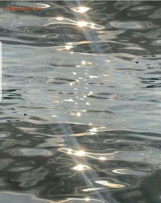 ФОТО - просто фото. Те что получились удачными. - Screenshot_20220626-190935_Instagram