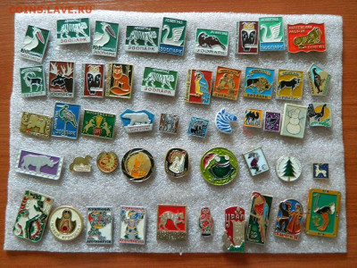 Солянка по 20 фикс до 01.07 - DSCN0724_thumb