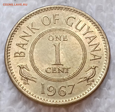 Гайана 1 цент 1967 до 3 июля 22-00 мск - Гайана 1 цент 1967 20220627_133132