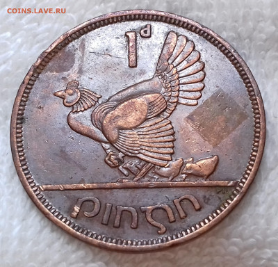 Ирландия 1 пенни 1942 до 3 июля 22-00 мск - Ирландия 1 пенни 1942 20220627_133802