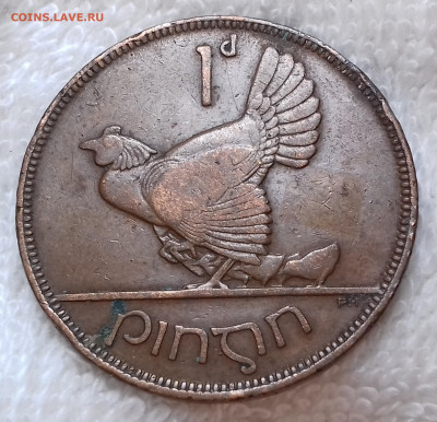 Ирландия 1 пенни 1928 до 3 июля 22-00 мск - Ирландия 1 пенни 1928 20220627_133839