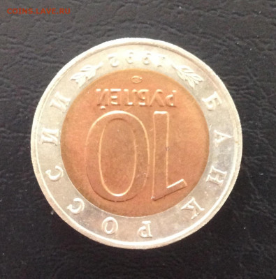 КК Краснозобая казарка до 3.7.22 22.00МСК . - 2022-06-27 15-27-25.JPG
