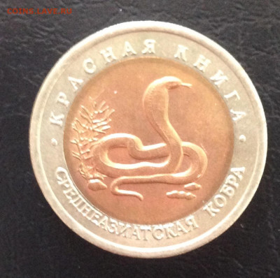 КК Среднеазиатская кобра до 3.7.22 22.00МСК . - 2022-06-27 15-33-29.JPG