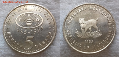 МАКЕДОНИЯ 5 денаров 1995 (ФАО) до 4 июля 22-00 мск - МАКЕДОНИЯ 5 денаров 1995 ФАО KM 7а 20191226_1200