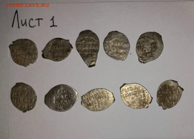 Чешуя кладовая на оценку и определение - 1D879364-C017-4352-898E-7DD9F0F7C2B9