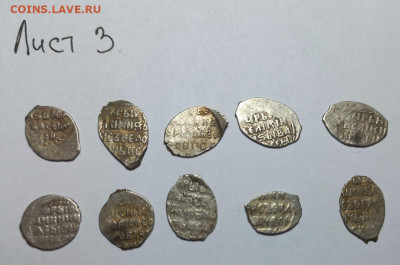 Чешуя кладовая на оценку и определение - FA6A25B8-B290-44E1-B673-34A99C1A3665