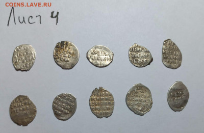 Чешуя кладовая на оценку и определение - 0D6C2256-68B8-4404-8D34-8E46CB10A330