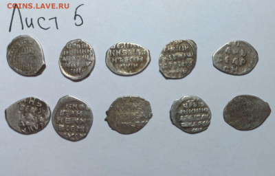 Чешуя кладовая на оценку и определение - 003ED834-4D50-44FD-9681-E3D7920753B9