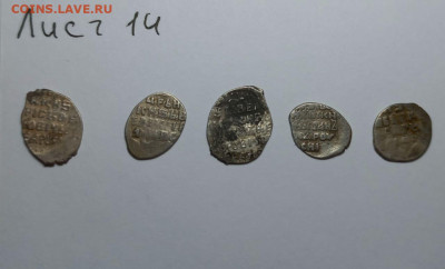 Чешуя кладовая на оценку и определение - D0BD7470-244E-469B-AC98-03E9E742BBCB