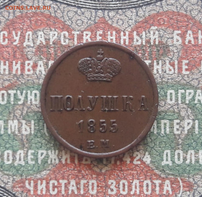 полушка 1855 ЕМ (Н1).   до 03.07.22.   22-00 мск - 20220624_104523~2