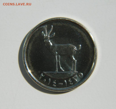ОАЭ 25 филсов 2014 г. (Фауна). до 05.07.22 - DSCN0752.JPG