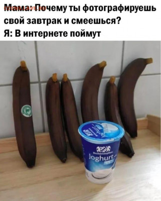 юмор - 85r7mpQabL4