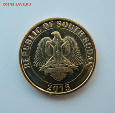 Южный Судан 20 пиастров 2015 г. (Фауна) до 07.07.22 - DSCN0839.JPG