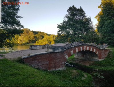 ФОТО - просто фото. Те что получились удачными. - Screenshot_20220701-143817_Gallery