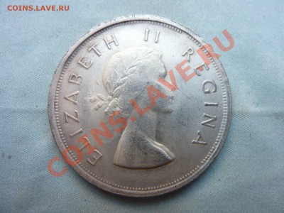 С РУБЛЯ КРАСИВАЯ ФУФЕЛКА ЮАР 5S,  1958г.  ОЛЕНЬ до 29.11.11 - MEMO0001.JPG