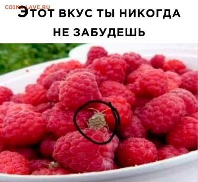 юмор - OQolHsnpcnk