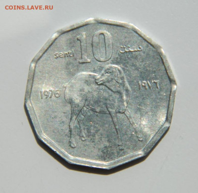Сомали 10 центов 1976 г. (Фауна)  до 11.07.22 - DSCN1138.JPG