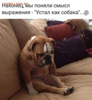 юмор - IMG-20220705-WA0000