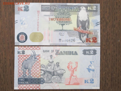 Замбия 2 квача 2020 UNC - IMG_8660.JPG