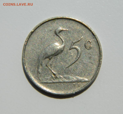 Южная Африка 5 центов 1965 г. (Фауна) до 11.07.22 - DSCN1158.JPG