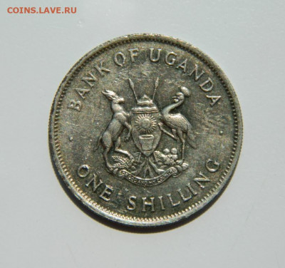 Уганда 1 шиллинг 1976 г. (Фауна). до 11.07.22 - DSCN1113.JPG