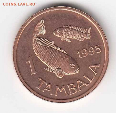 Экзотические страны, 12 монет 1952-2007 до 08.07.22, 23:00 - #И-1133