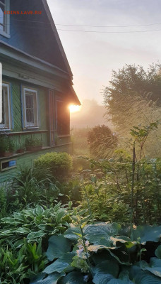 ФОТО - просто фото. Те что получились удачными. - Screenshot_20220706-062449_Instagram