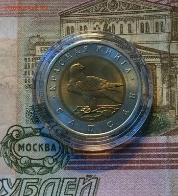 Красная книга.50р.1994г.Сапсан.до 10.07.22 - 7