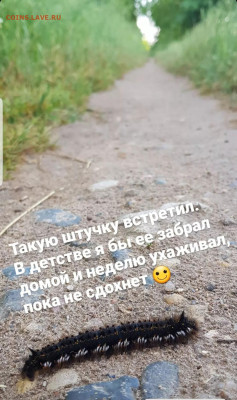 делает - прямо сейчас !!! - Screenshot_20220708-105330_Instagram