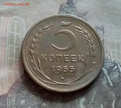 5 копеек 1955. До 12.7.22 в 22.00 - 20220708_152640