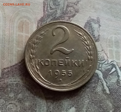 2 копейки 1955. До 12.7.22 в 22.00 - 20220709_140642