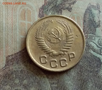1 копейка 1953. До 12.7.22 в 22.00 - 20220709_153728